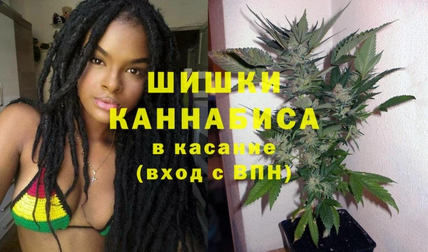 не бодяженный Ладушкин