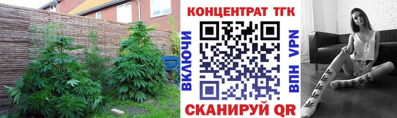 ТГК THC oil  Купить  Болхов 