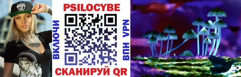 Купить закладки  Болхов  Галлюциногенные грибы мицелий 